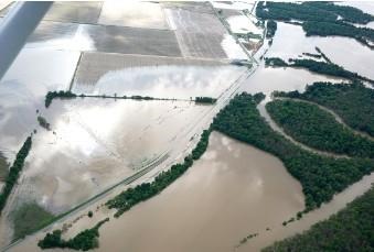 Arkansas Rice Crop Could See Worst Hit In Decades If Flood Projections Hold